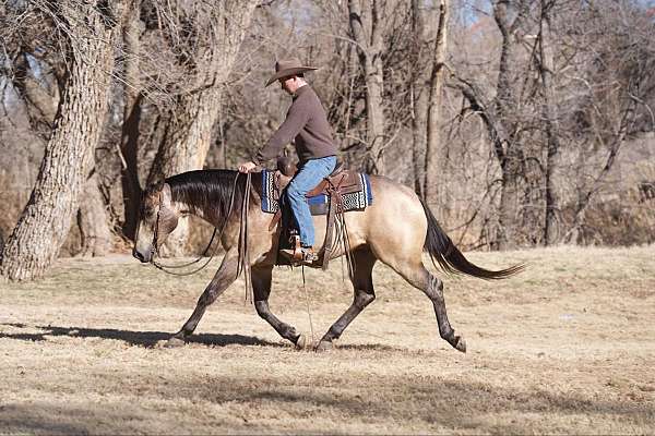 ranch-work-quarter-horse