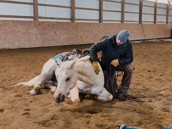 roping-quarter-horse