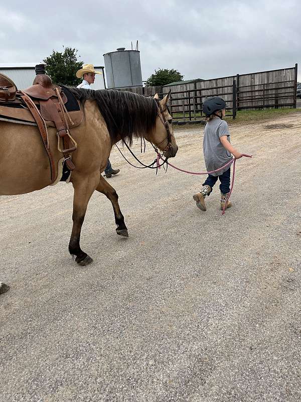 ranch-versatility-quarter-horse