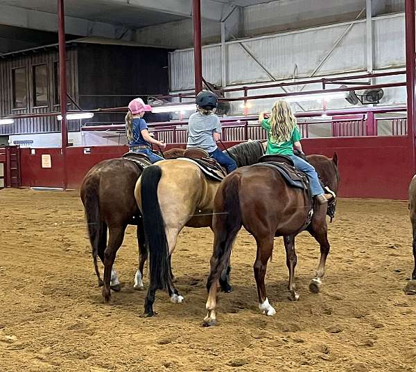 ranch-work-quarter-horse