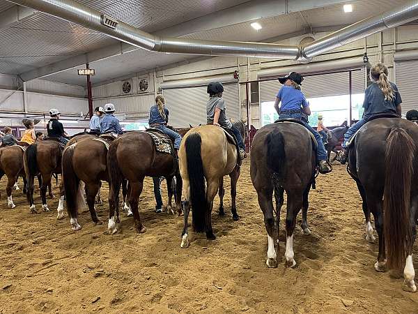 roping-quarter-horse