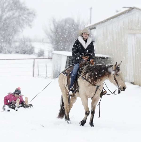 trail-riding-quarter-horse