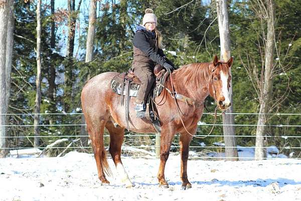 ranch-versatility-quarter-horse