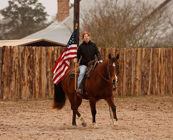 team-penning-quarter-horse