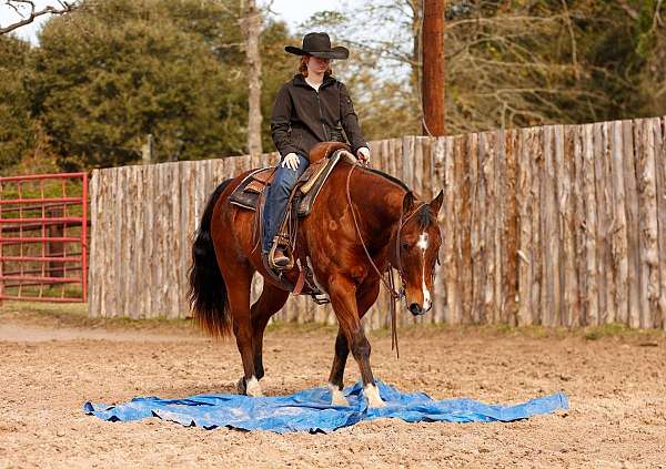 trail-riding-quarter-horse