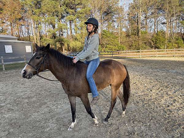 ranch-trail-pony