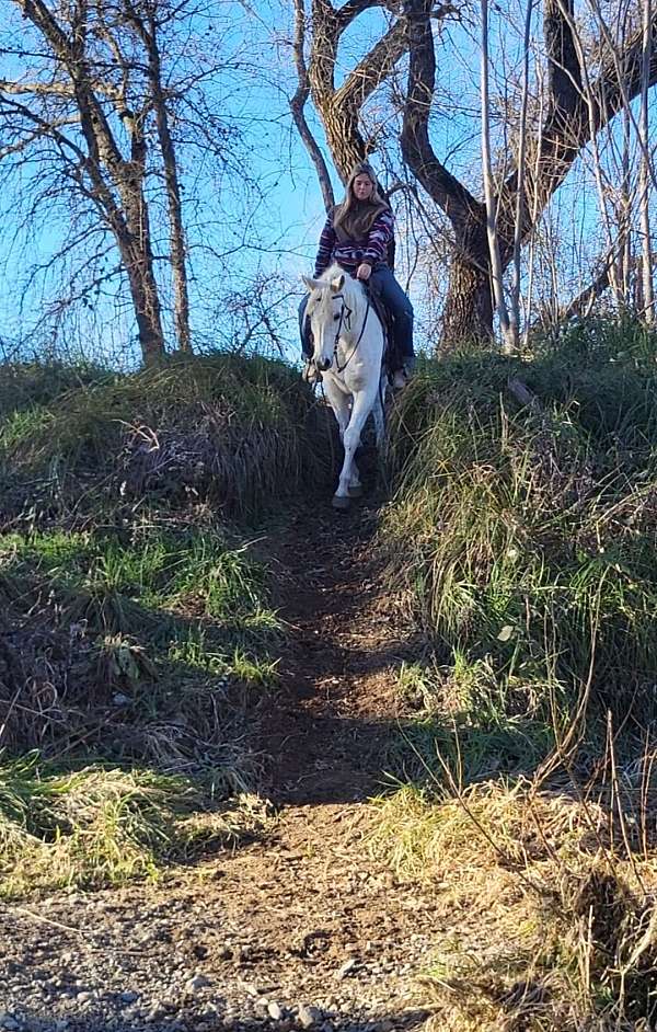 grey-kid-safe-horse