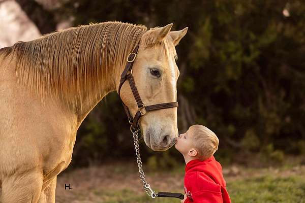 family-horse-quarter