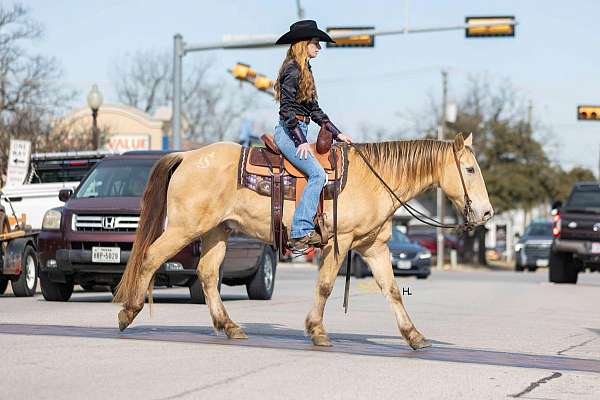 ranch-quarter-horse