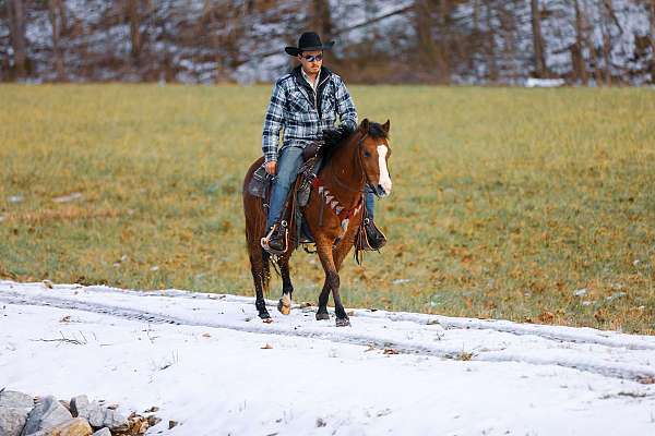 kid-safe-quarter-pony