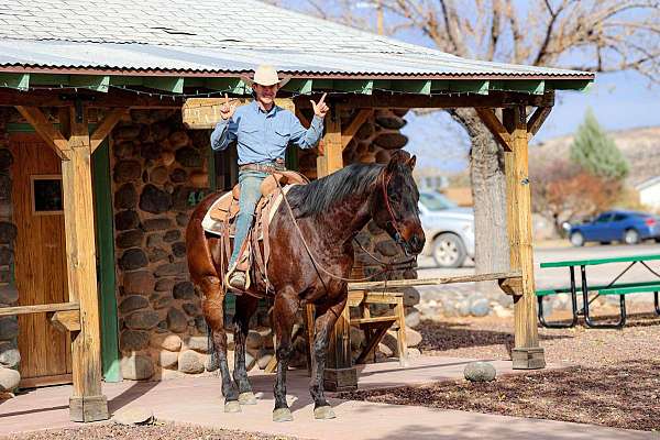 husband-safe-quarter-horse