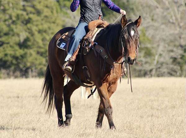 ranch-work-quarter-horse