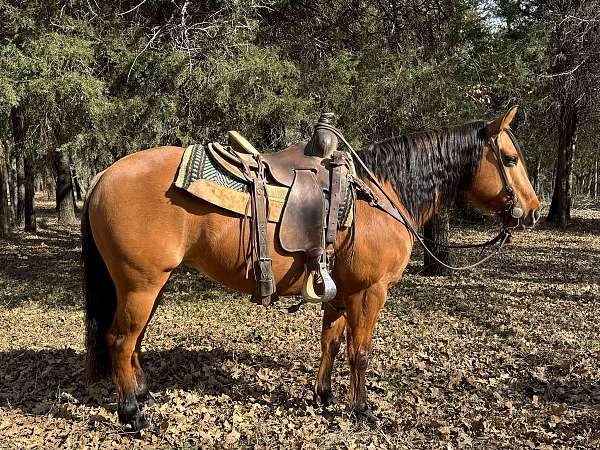 ranch-work-quarter-horse