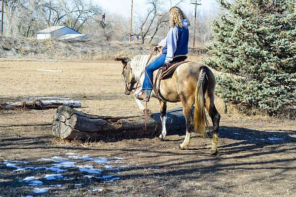 flashy-quarter-horse