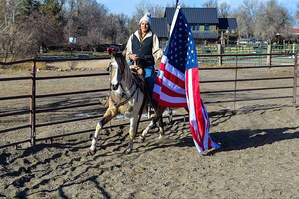 jumping-quarter-horse