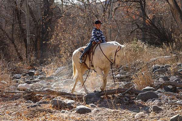 flashy-quarter-horse