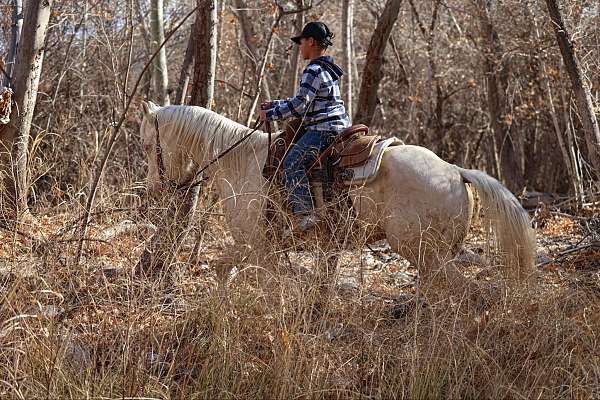 kid-safe-quarter-horse