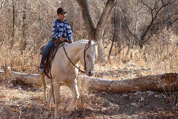 ranch-quarter-horse