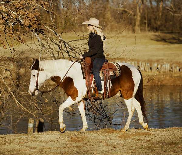 beginner-quarter-pony