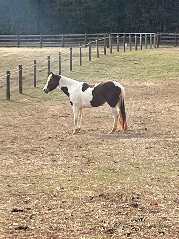 grandchildren-paint-horse