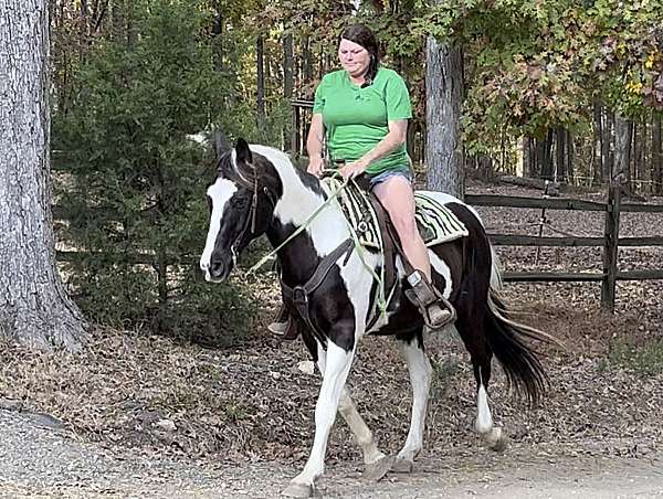 tobiano-striking-blaze-pony