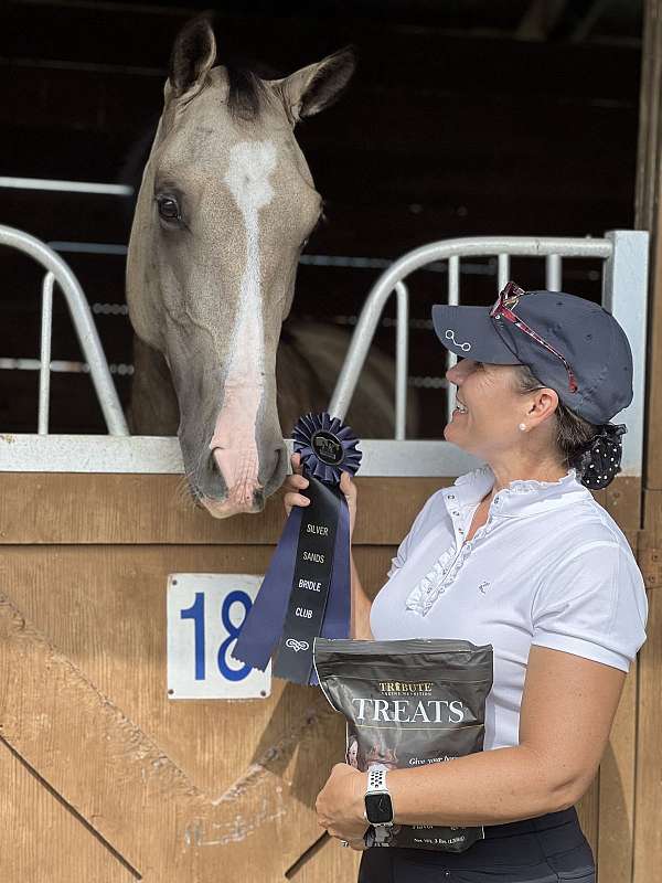 buckskin-dappled-buttermilk-horse