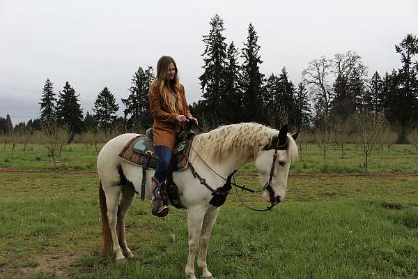 black-white-pinto-with-medicine-hat-horse