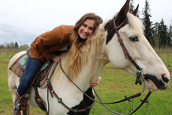 piebald-quarter-horse-mare