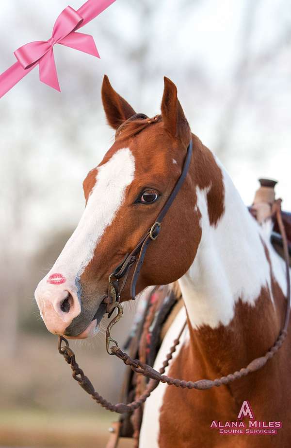 tobiano-apha-mare