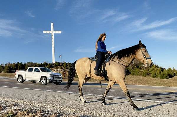 automatic-missouri-fox-trotter-horse