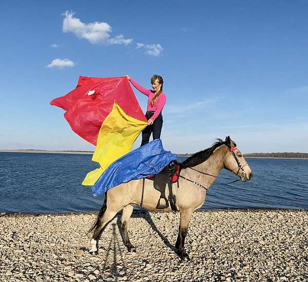 boy-missouri-fox-trotter-horse