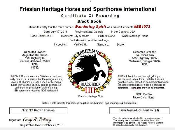 friesian-sport-horse