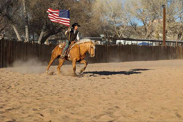 husband-safe-quarter-horse