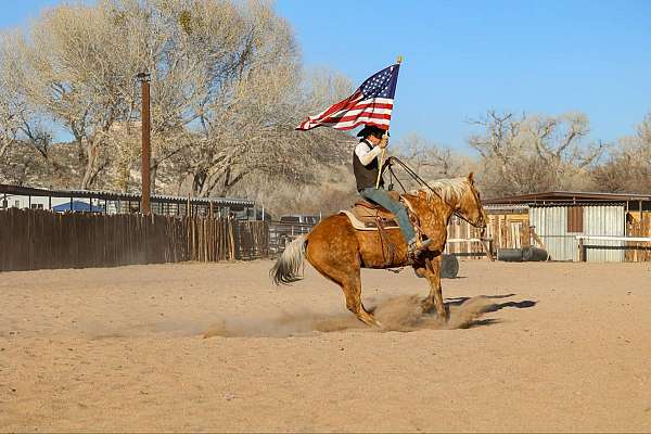 kid-safe-quarter-horse