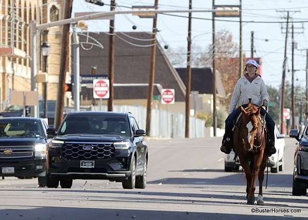 ranch-quarter-horse