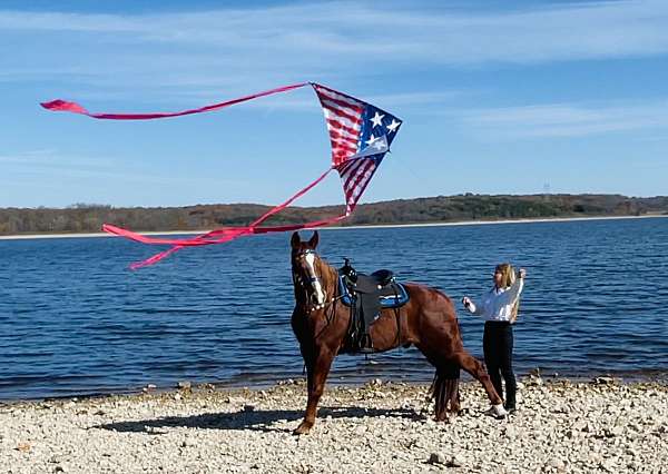 red-roan-with-some-roaning-horse