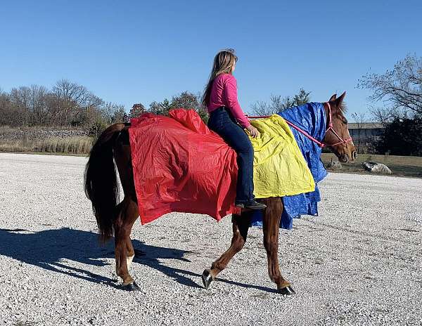 bright-red-horse