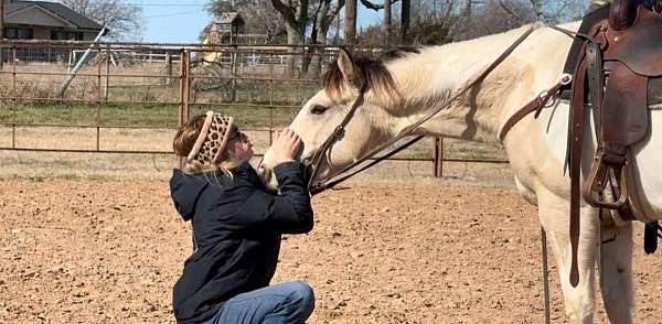 athletic-quarter-horse