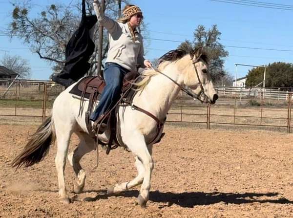 trail-quarter-horse