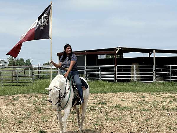 project-quarter-horse