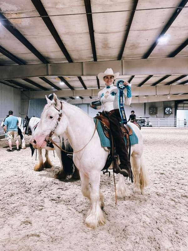 white-grey-tobiano-pintaloosa-horse