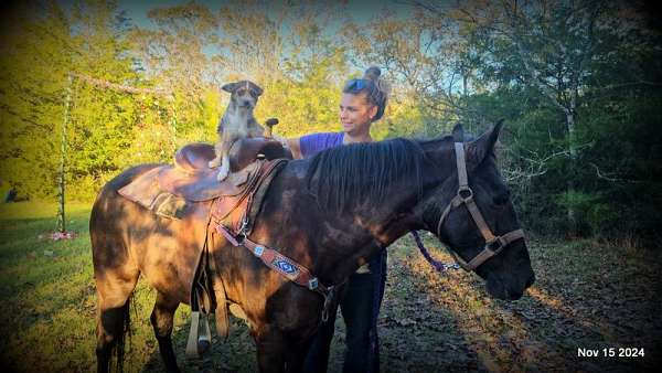 kids-paso-fino-horse