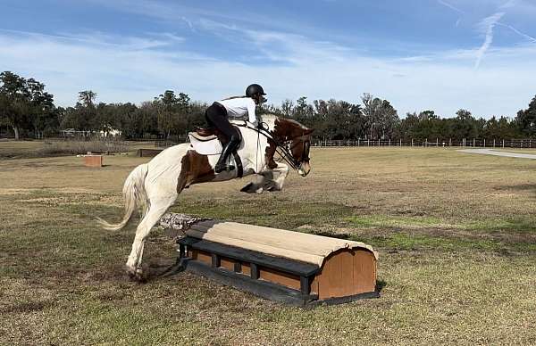 foxhunting-draft-horse