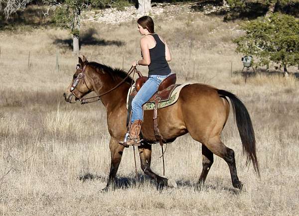 athletic-quarter-horse