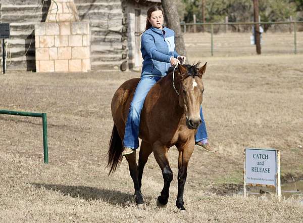 barefoot-quarter-horse