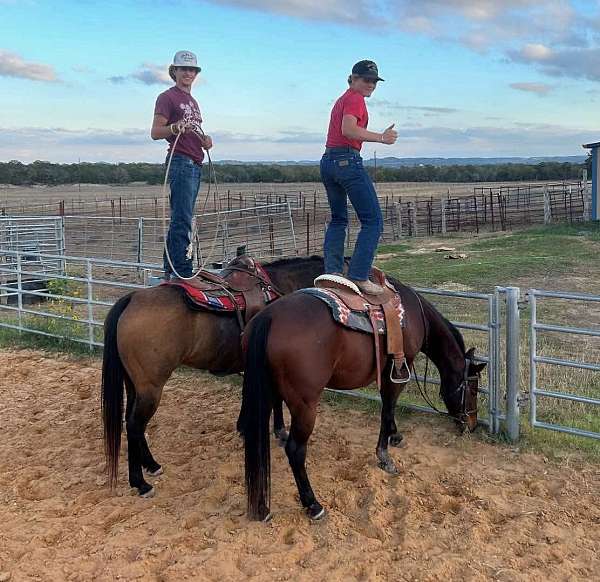 can-do-anything-quarter-horse