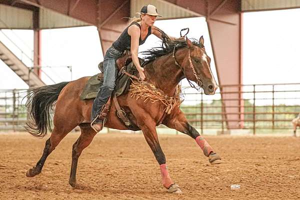 barrel-racing-quarter-horse