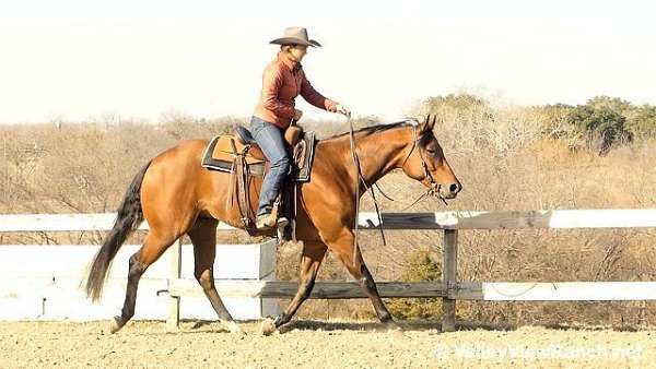 youth-quarter-horse