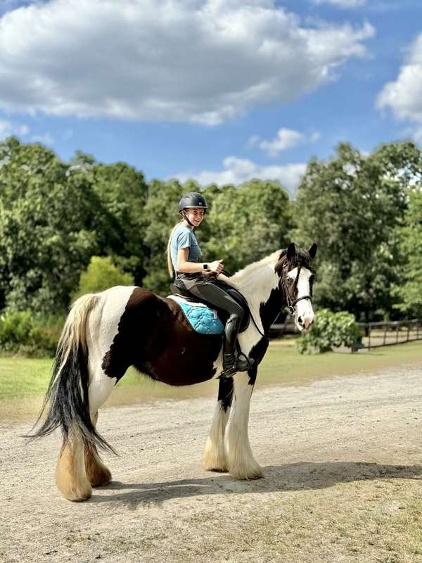 barefoot-drum-horse