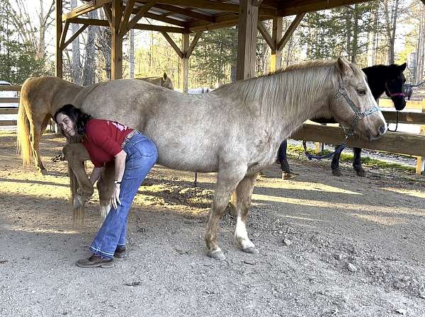 birthday-parties-quarter-pony